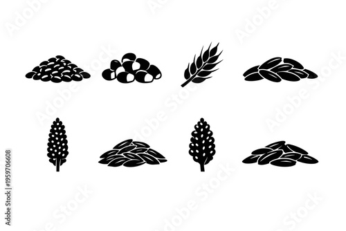 A Collection of Various Grains and Seeds Depicted in Silhouette, Showcasing the Diversity in Shape and Form of Essential Food Crops