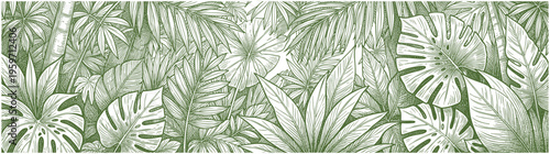 Dense tropical jungle leaves