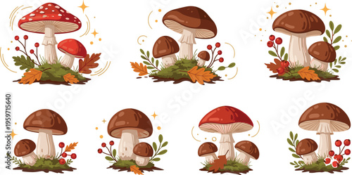 Autumn mushroom illustrations set with forest plants leaves berries and natural woodland elements colorful vector collection
