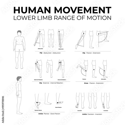 human movement lower limb range of motion flat line illustration set