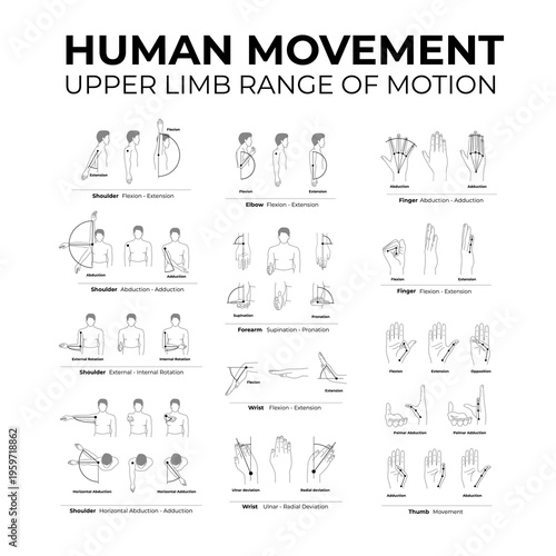 human movement upper limb range of motion flat line illustration set