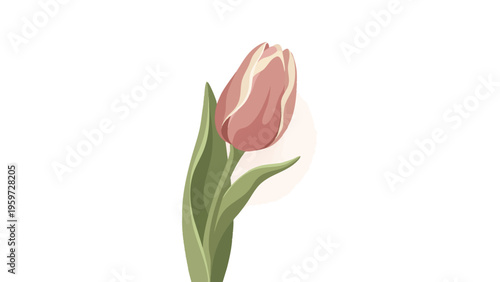 Tulip Elegant Spring Flower Bud Digital Art Illustration