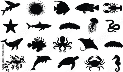 Sea animal silhouettes collection featuring ocean creatures including shark whale octopus jellyfish starfish crab and fish isolated on white background vector illustration set