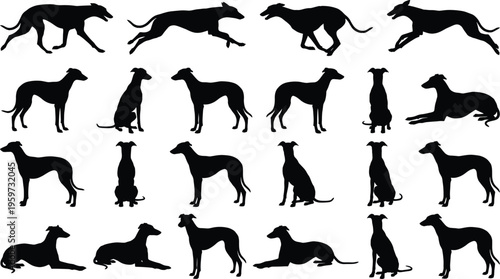 Quadro su tela Greyhound dog silhouettes collection featuring running standing sitting and lyin