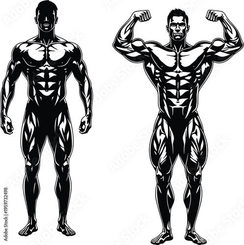 Bodybuilder male muscle anatomy illustration, fitness bodybuilding pose front and flexing silhouette vector isolated