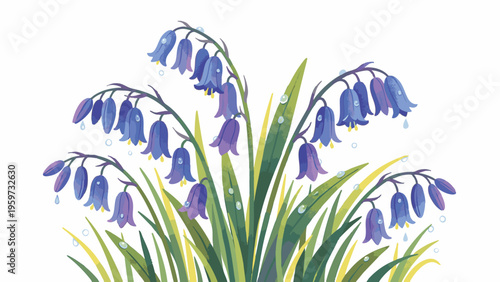 Bluebell Flowers with Dew Drops Emerging from Fresh Spring Grass
