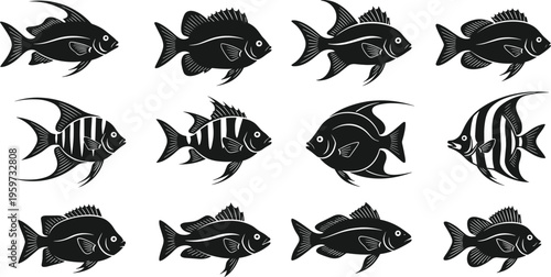 Fish silhouette collection set, tropical and freshwater aquarium fish isolated vector illustration for marine and nature design