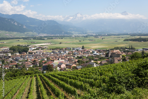 Bild auf Leinwand Vineyard and Vouvry town (Switzerland)