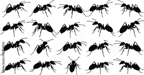 Ant silhouette set vector collection featuring black ants in different poses insect design elements isolated on white background for pest control and biology concepts