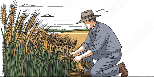 Farmer harvesting wheat in a field with a hat on his knees