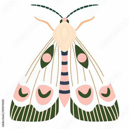 A whimsical illustration of a colorful moth with patterned wings and antennae
