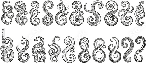 Octopus tentacle decorative set vector illustration featuring detailed curled tentacles with suction cups ornamental marine elements isolated on white background vintage engraving style collection