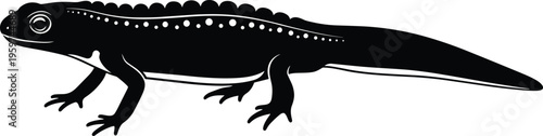Salamander silhouette black and white illustration, amphibian animal vector, minimal design, wildlife nature graphic, flat style isolated on background