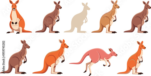 Kangaroo cartoon character set vector illustration featuring cute kangaroos in different poses Australian wildlife animal collection isolated on white background design elements