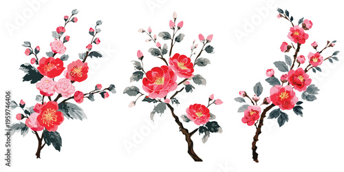 Red sakura cherry blossom illustration in asian japanese style ink watercolour painting, Collection set of chinese floral drawing digital vector graphic art decoration, transparent isolated plum peony