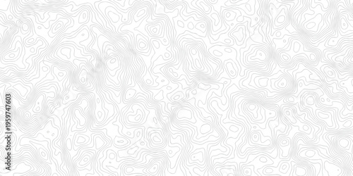 Contour abstract map relief land outline. Topographic map patterns. White wave paper curved reliefs abstract background. Background of the topography map. Abstract pattern with lines.