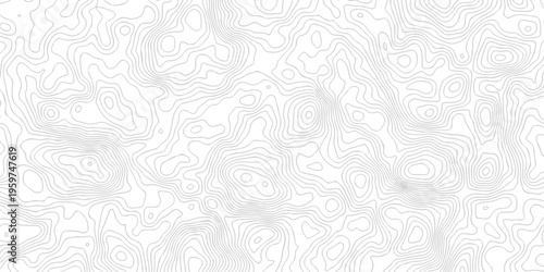 Contour abstract map relief land outline. Topographic map patterns. White wave paper curved reliefs abstract background. Background of the topography map. Abstract pattern with lines.