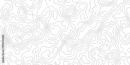Contour abstract map relief land outline. Topographic map patterns. White wave paper curved reliefs abstract background. Background of the topography map. Abstract pattern with lines.
