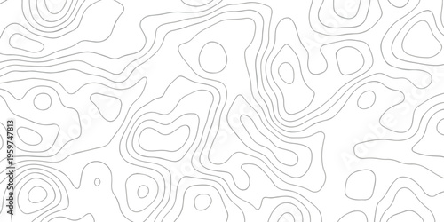 Contour abstract map relief land outline. Topographic map patterns. White wave paper curved reliefs abstract background. Background of the topography map. Abstract pattern with lines.