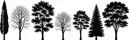 Black silhouette collection of different tree types including pine cypress and deciduous oak with leafy and bare winter branches isolated on a white background