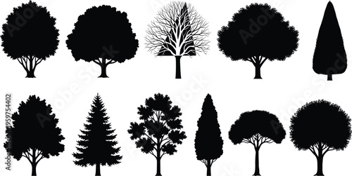 Collection of tree silhouettes featuring diverse forest species, detailed black shapes of leafy and conifer trees, perfect for nature design, landscaping, and botanical illustration projects