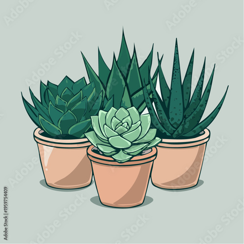Flat Vector Illustration of Diverse Succulent Plants in Terracotta Pots Including Echeveria and Aloe for Modern Interior Decor