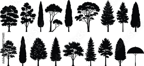 Large collection of black tree silhouettes featuring various species like pine cypress oak and decorative landscape plants isolated on a clean white background vector