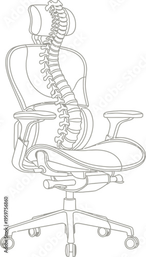 Ergonomic office chair with spine and skeleton for back support