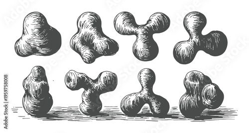 Abstract Organic Forms in a Vintage Engraving Style