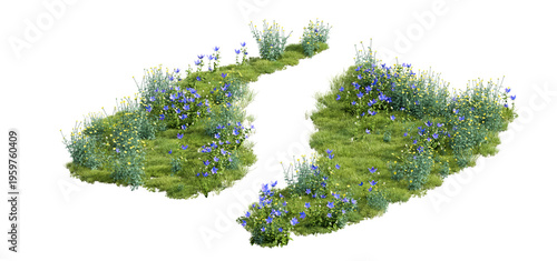 Green Grass with Tiny Blue Wildflowers Isolated for Landscape Design