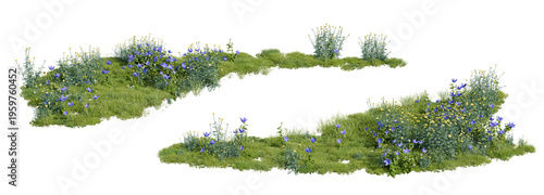 Green Grass with Tiny Blue Wildflowers Isolated for Landscape Design