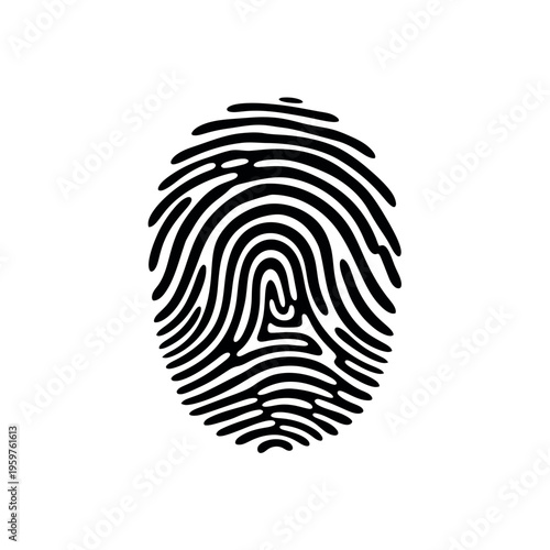 Fingerprint identification for security and personal recognition.