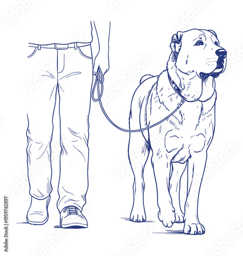 Alabai Central Asian Shepherd Dog on leash with handler line art illustration