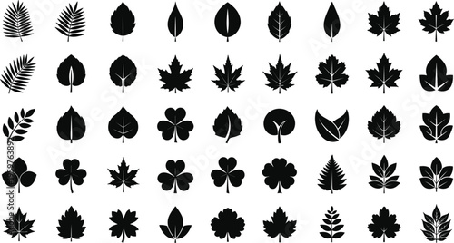 Large collection of leaf silhouette icons set featuring diverse foliage shapes including maple oak fern clover and tropical leaves for nature autumn and botanical vector design.
