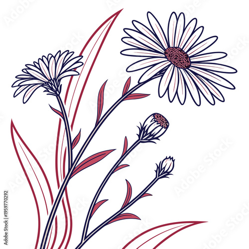 alpine aster with leaves