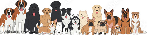 Large Group of Various Purebred Dogs and Puppies Standing Together in a Horizontal Row Isolated on a White Background Vector