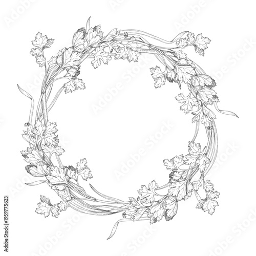 Wreath of the parsley and green onion. Vector ink styled handmade illustration. For packaging design, cards, cover, prints, product labels and fabric.