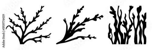 Seaweed set with green seaweed silhouette against ocean backdrop featuring marine life, underwater flora, wave motion with aquamarine shine and coral reefs