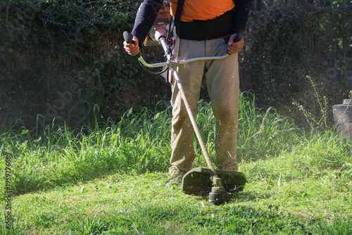 Obraz na płótnie Worker using brush cutter cutting grass in natural garden setting