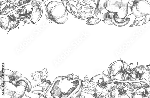 Frame of the bell peppers, tomatoes, parsley, garlic and leaves. Vector ink styled illustration. For packaging design, cards, cover, prints, product labels and fabric.