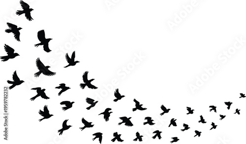 Flying birds silhouette flock in motion, black abstract animal shapes vector illustration design