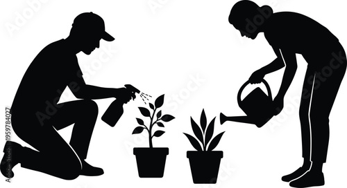 Silhouette of couple caring for potted plants watering and spraying leaves indoor gardening hobby nature care concept