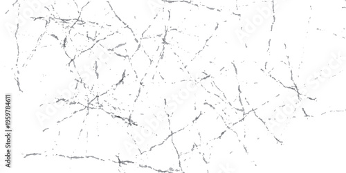 Grunge Cracked Wall Texture with Scratches and Dust, Distressed Concrete Surface Background, Black Grainy Crack Lines on White, Urban Vintage Rough Overlay Design