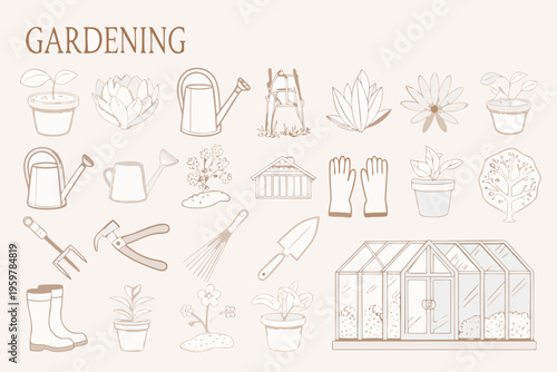Gardening tools and plants illustrated in a delicate hand drawn style