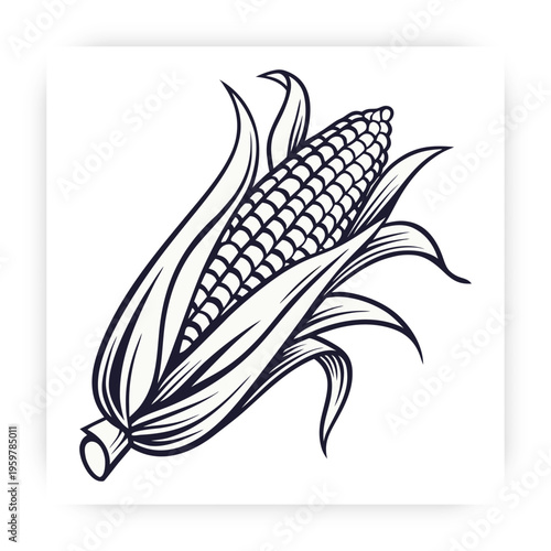 Hand Drawn Corn icon Vector Illustration, Fresh Maize Clipart, Organic Farm Vegetable Design Isolated on White Background.