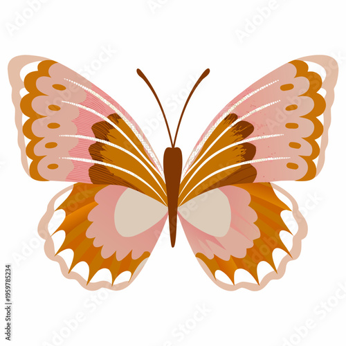 A symmetrical illustration of a colorful butterfly with detailed wings