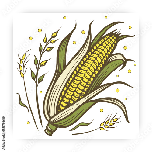 Hand Drawn Corn icon Vector Illustration, Fresh Maize Clipart, Organic Farm Vegetable Design Isolated on White Background.