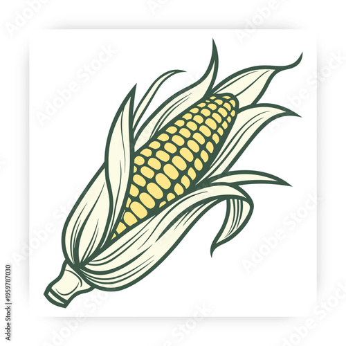 Hand Drawn Corn icon Vector Illustration, Fresh Maize Clipart, Organic Farm Vegetable Design Isolated on White Background.