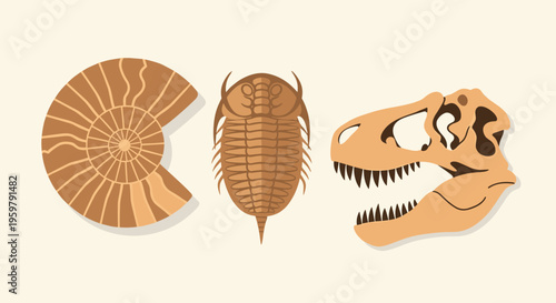 Educational Illustration of Ancient Fossils: Nautilus Trilobite and Dinosaur Skull