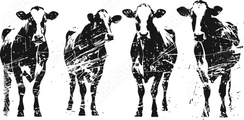 four black and white cows standing side by side in rustic distressed silhouette